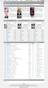 杰奇CMS小说模板源码 第12套PC主题棕色版随梦小说