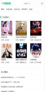 杰奇CMS小说模板源码 第1套PC+WAP自适应主题 超简洁绿白色
