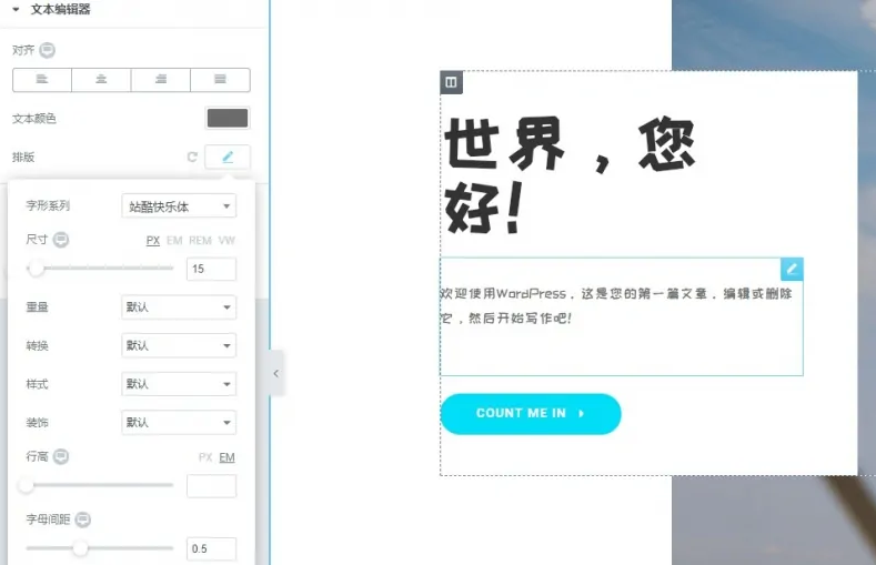 Wordpress自定义字体插件(适用于Astra、Elementor、Beaver Builder) Custom Fonts