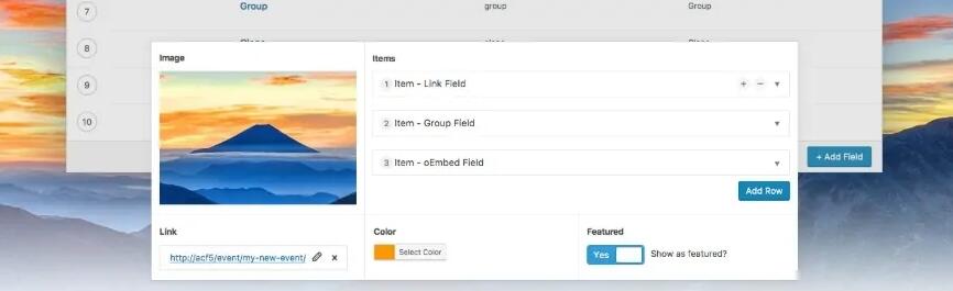 Advanced Custom Fields
