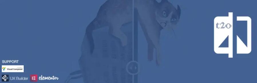 WordPress图片比较插件 Twenty20 Image Before-After