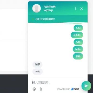 Tidio Live Chat前端界面