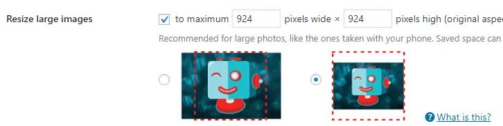 shortpixel设置图片调整模式