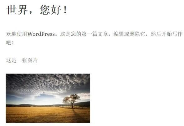 Wordpress登录后查看效果