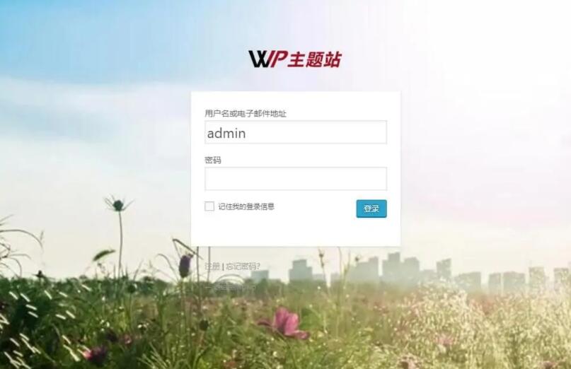 Custom Login Page Customizer界面示例