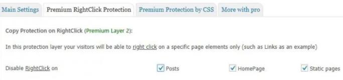 WP Content Copy Protection & No Right Click设置保护类型