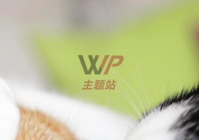 wordpress添加水印图片