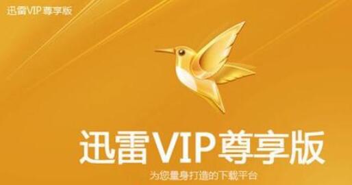 迅雷经典老版本四件套(mini迅雷+简易迅雷+迅雷精简版+迅雷典藏版) 免费下载