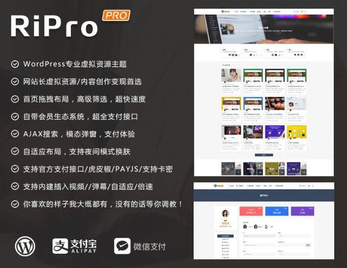 WORDPRESS资源分享主题站RiPro4.3破解小更版 免费下载