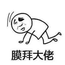 黑帽seo技术之大站快照劫持与推广